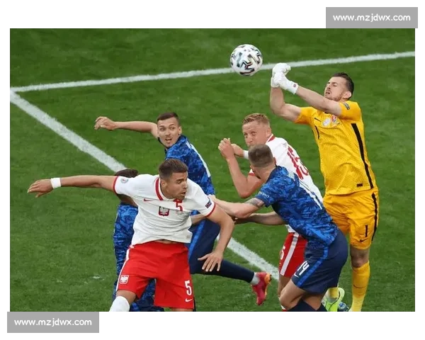 白俄罗斯对阵新西兰的战术博弈与赛场看点前瞻解析实力对比走势